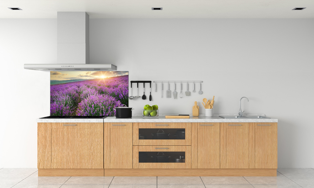 Cooker splashback Lavender field