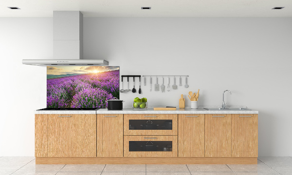 Cooker splashback Lavender field