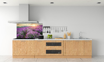 Cooker splashback Lavender field