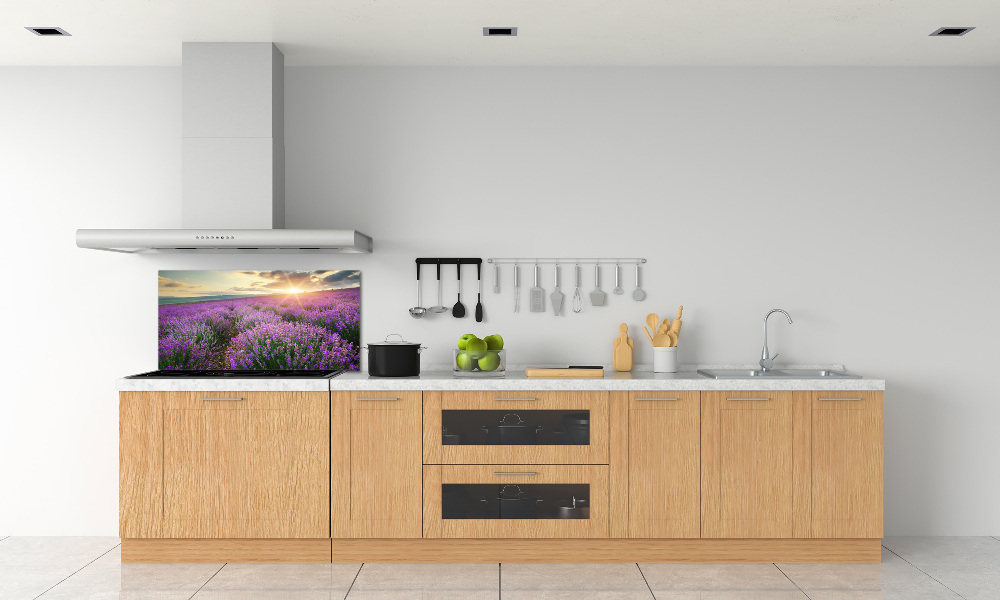 Cooker splashback Lavender field