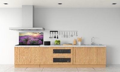 Cooker splashback Lavender field