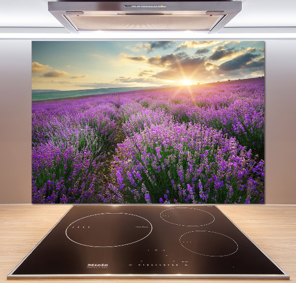 Cooker splashback Lavender field