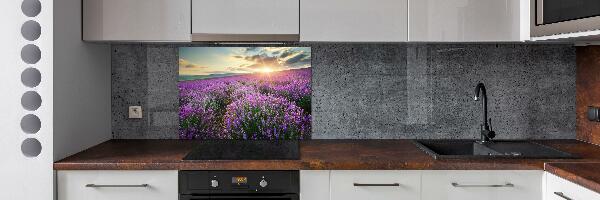 Cooker splashback Lavender field