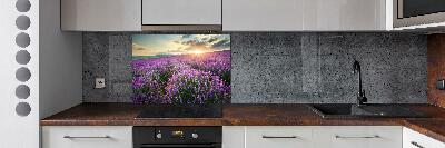 Cooker splashback Lavender field