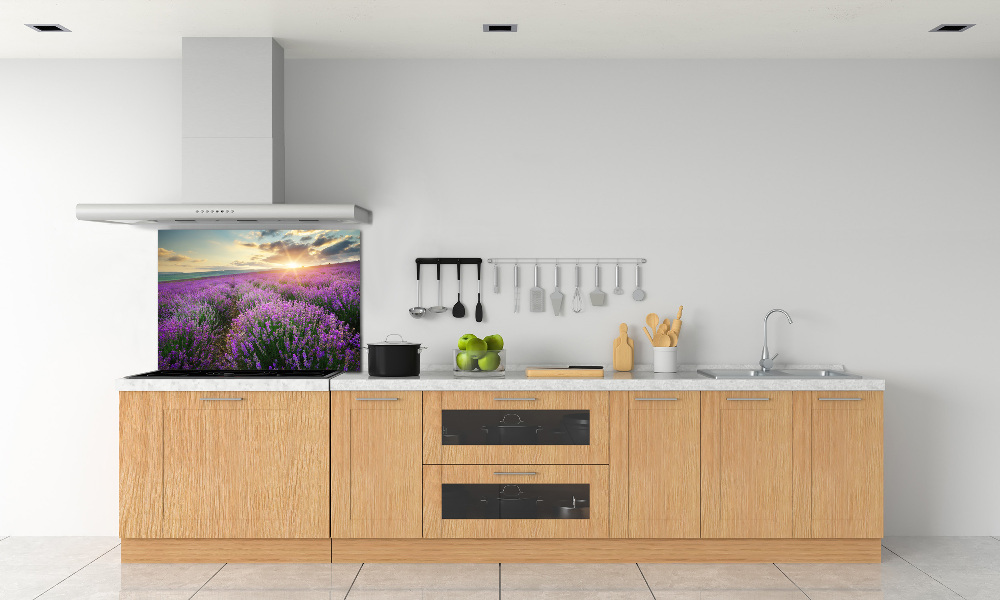 Cooker splashback Lavender field