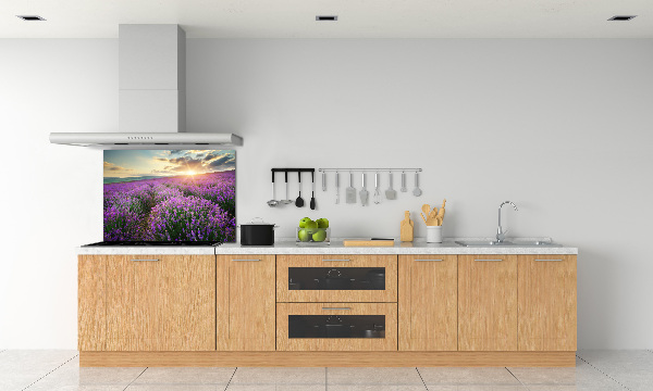 Cooker splashback Lavender field