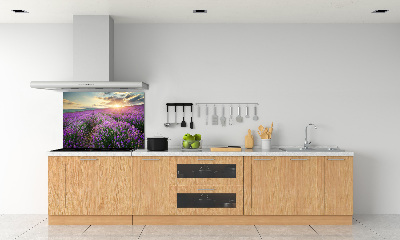 Cooker splashback Lavender field