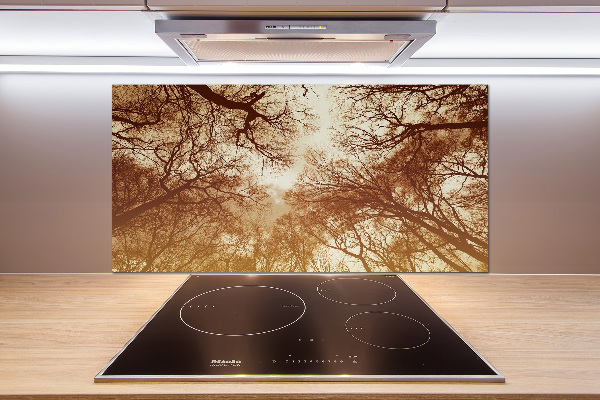 Cooker splashback Forest