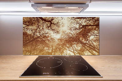 Cooker splashback Forest