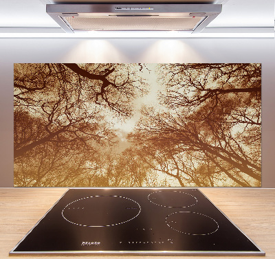 Cooker splashback Forest