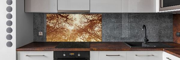 Cooker splashback Forest