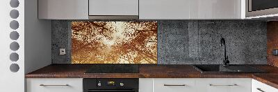 Cooker splashback Forest