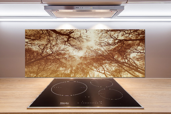 Cooker splashback Forest