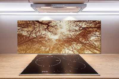 Cooker splashback Forest