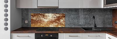 Cooker splashback Forest