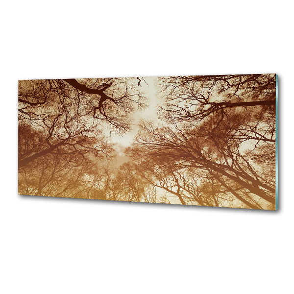 Cooker splashback Forest