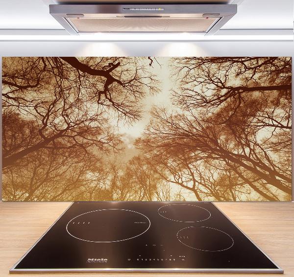 Cooker splashback Forest