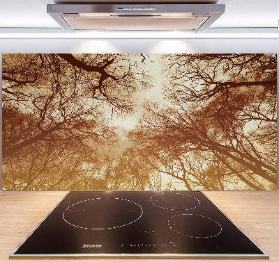 Cooker splashback Forest