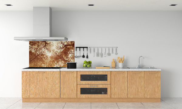 Cooker splashback Forest