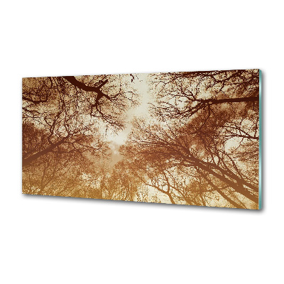 Cooker splashback Forest