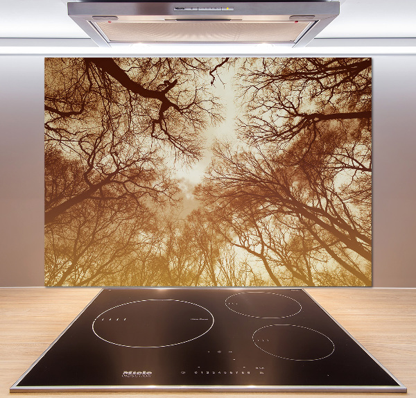 Cooker splashback Forest