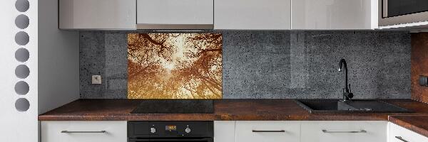 Cooker splashback Forest