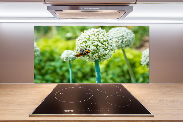 Kitchen splashback Flowering garlic