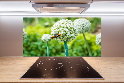 Kitchen splashback Flowering garlic