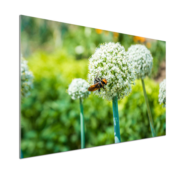 Kitchen splashback Flowering garlic