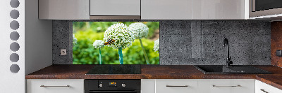 Kitchen splashback Flowering garlic