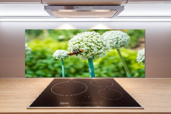 Kitchen splashback Flowering garlic