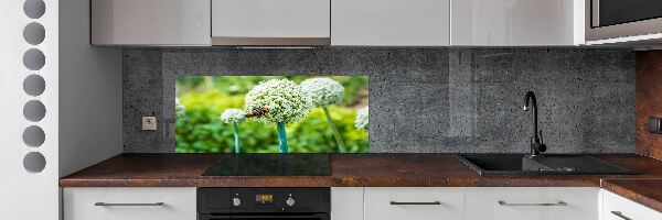 Kitchen splashback Flowering garlic