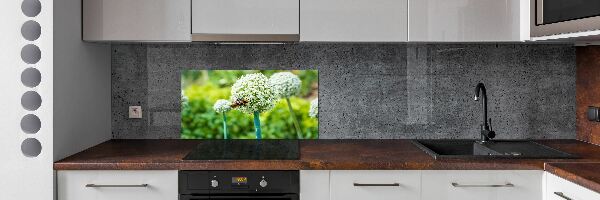 Kitchen splashback Flowering garlic