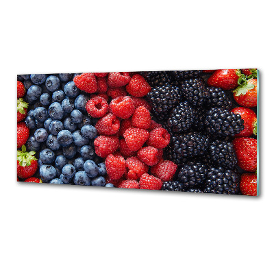 Cooker splashback Forest fruits