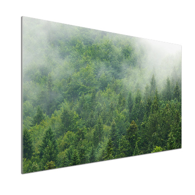 Kitchen splashback Mysterious forest