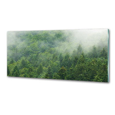 Kitchen splashback Mysterious forest