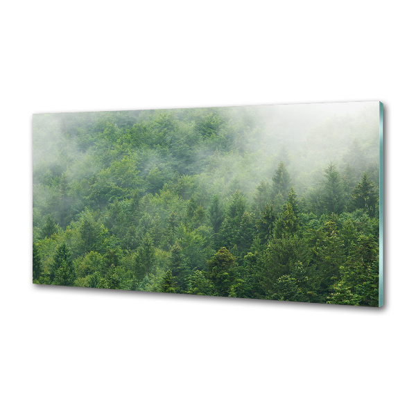 Kitchen splashback Mysterious forest