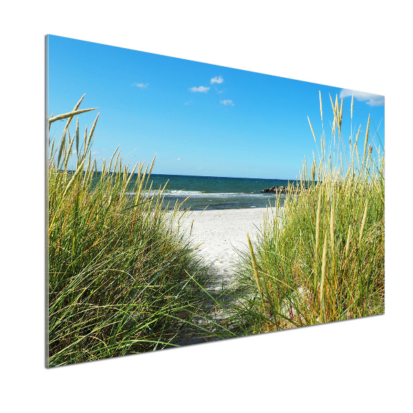 Cooker splashback Coastal dunes