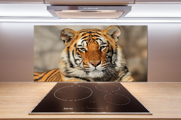 Cooker splashback Bengal tiger