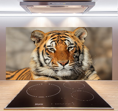 Cooker splashback Bengal tiger