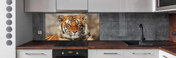 Cooker splashback Bengal tiger