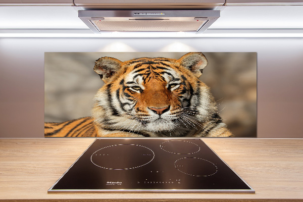 Cooker splashback Bengal tiger