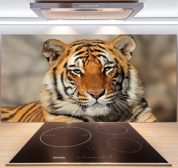 Cooker splashback Bengal tiger