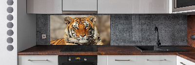 Cooker splashback Bengal tiger