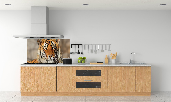 Cooker splashback Bengal tiger