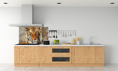 Cooker splashback Bengal tiger