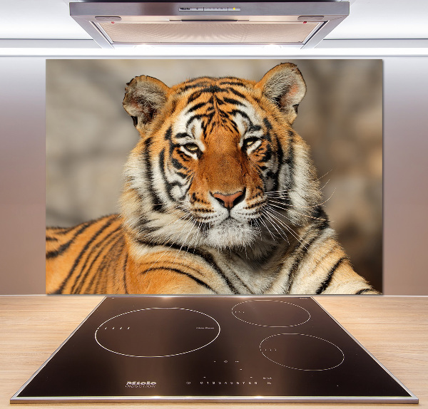 Cooker splashback Bengal tiger