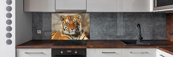 Cooker splashback Bengal tiger