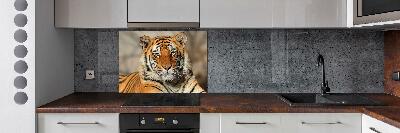 Cooker splashback Bengal tiger