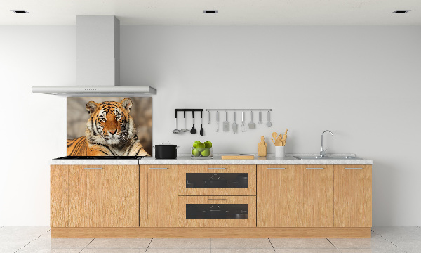 Cooker splashback Bengal tiger